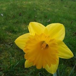 Meet your Posher, Lanette